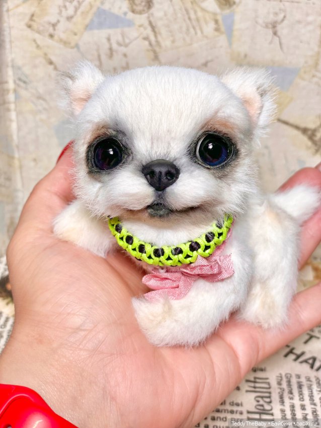 Cindy🐾 — Реалистичные игрушки и звери (Натюр): собаки