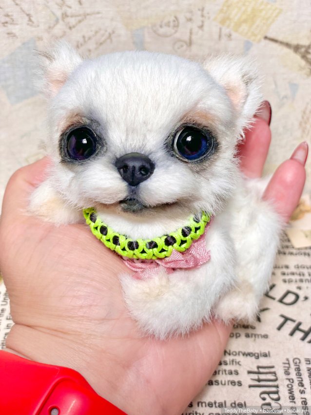 Cindy🐾 — Реалистичные игрушки и звери (Натюр): собаки