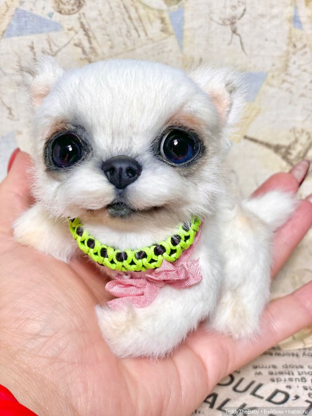 Cindy🐾 — Реалистичные игрушки и звери (Натюр): собаки