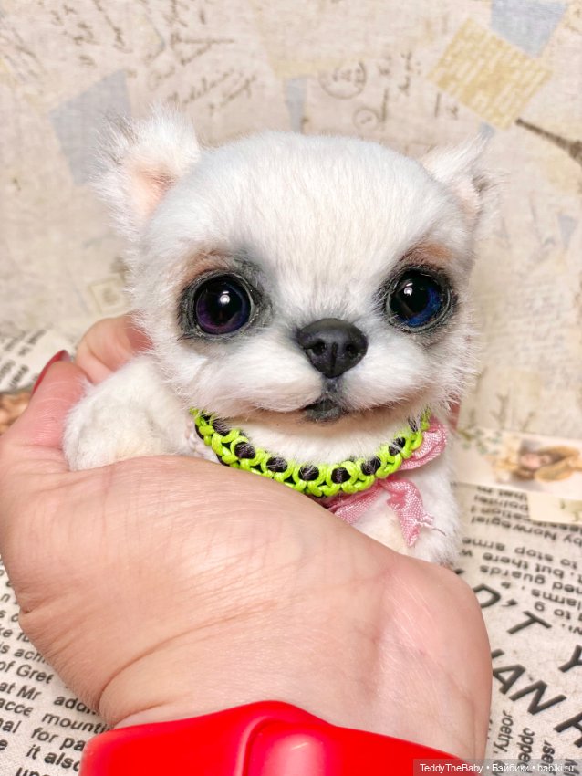 Cindy🐾 — Реалистичные игрушки и звери (Натюр): собаки (фото 4)