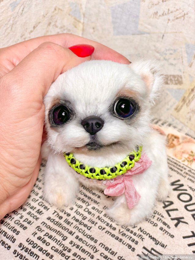 Cindy🐾 — Реалистичные игрушки и звери (Натюр): собаки