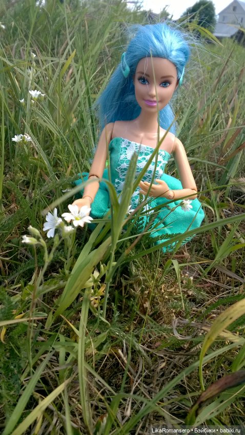 Вояж на заливной луг — Гибриды шарнирных кукол (не БЖД): подбор тела (фото 2)