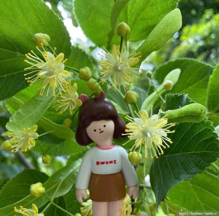 И снова Kwoni… — Игровые куклы разных производителей (Разное): редкие бренды