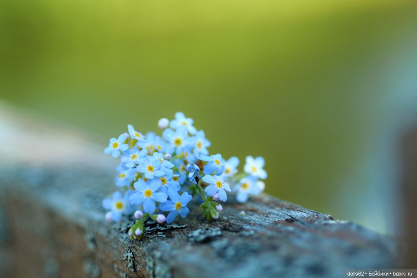 Лето в самом разгаре — Авторские куклы BJD (БЖД) у нас дома: фото (фото 6)