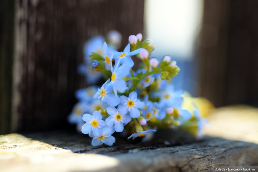 Лето в самом разгаре — Авторские куклы BJD (БЖД) у нас дома: фото (фото 4)