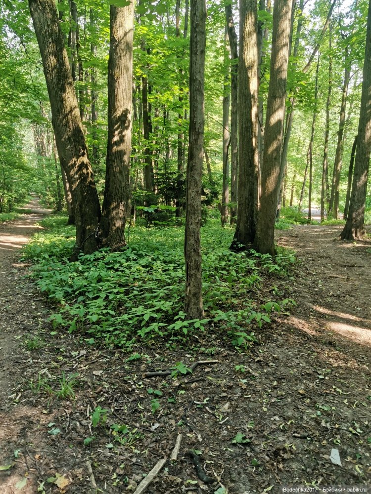 Обаяшка от D Anton jos — Куклы D'Anton Jos (Д'Антон Джос): характерные (фото 3)