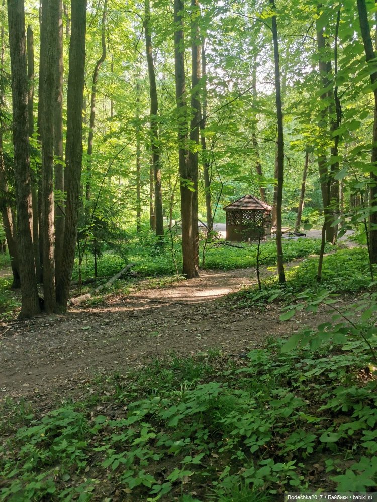 Обаяшка от D Anton jos — Куклы D'Anton Jos (Д'Антон Джос): характерные