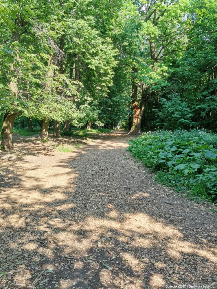 Обаяшка от D Anton jos — Куклы D'Anton Jos (Д'Антон Джос): характерные