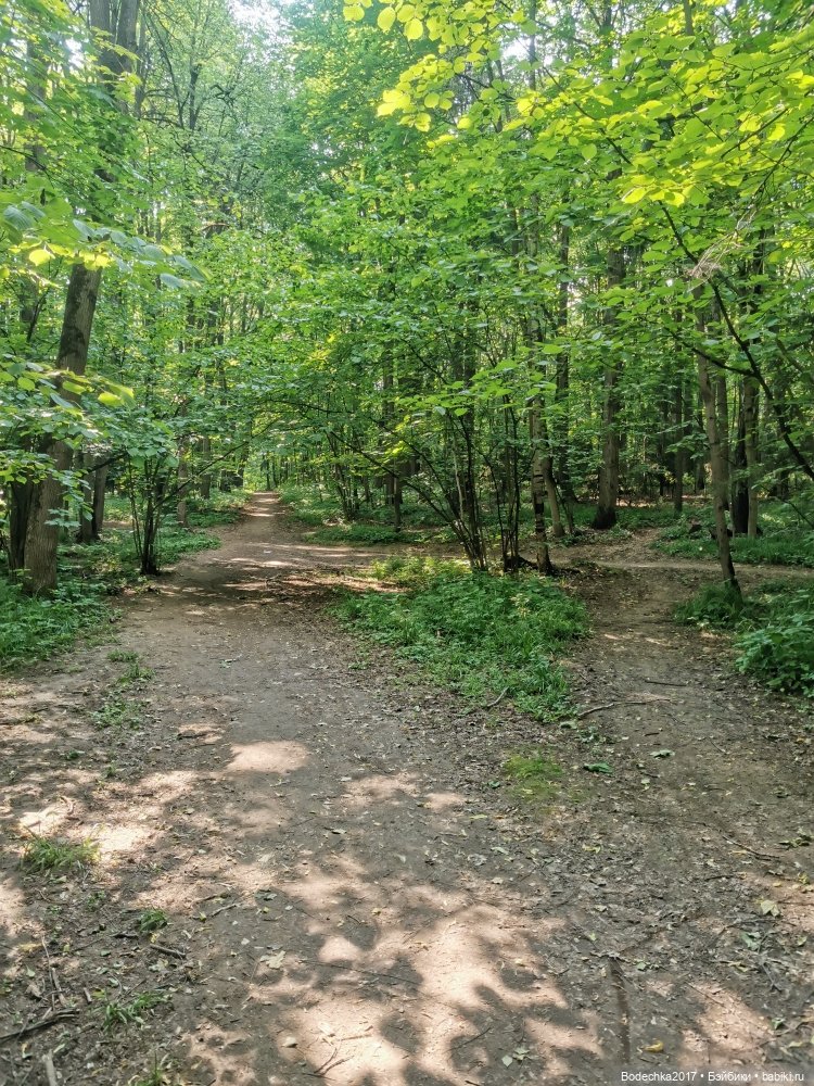 Обаяшка от D Anton jos — Куклы D'Anton Jos (Д'Антон Джос): характерные