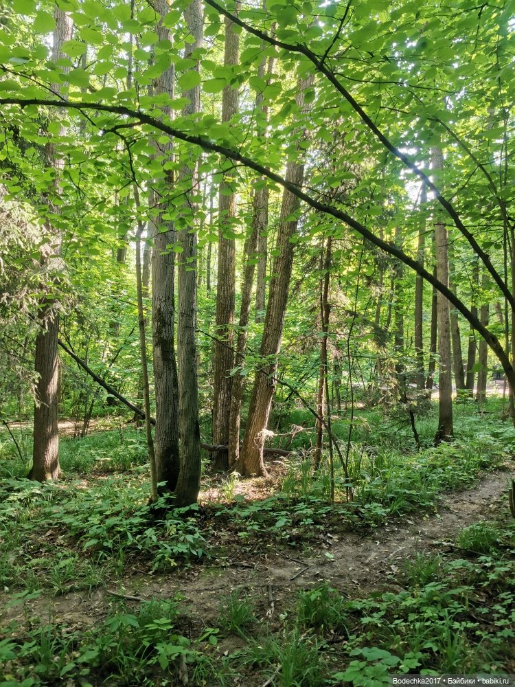 Обаяшка от D Anton jos — Куклы D'Anton Jos (Д'Антон Джос): характерные