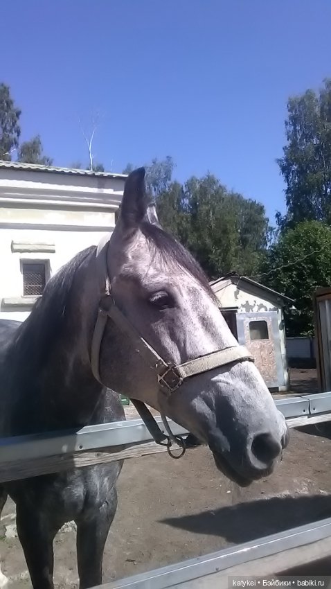 Что есть на конюшне — Интересные игрушки и фигурки (разное): редкие