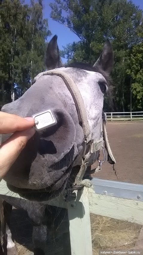 Что есть на конюшне — Интересные игрушки и фигурки (разное): редкие