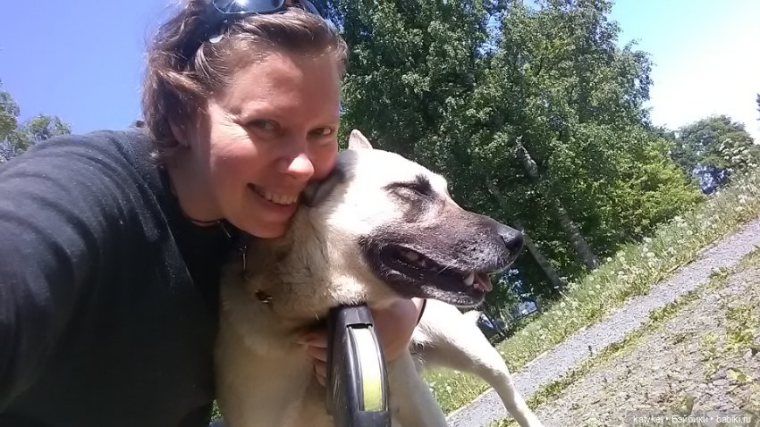 Что есть на конюшне — Интересные игрушки и фигурки (разное): редкие