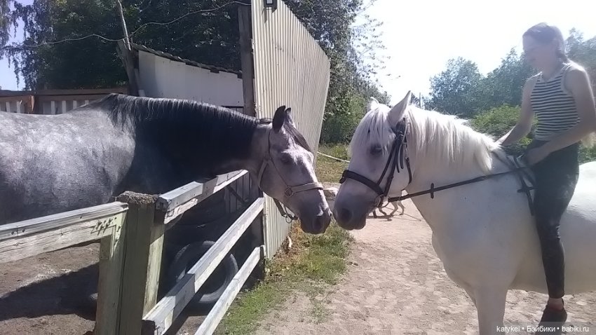 Что есть на конюшне — Интересные игрушки и фигурки (разное): редкие