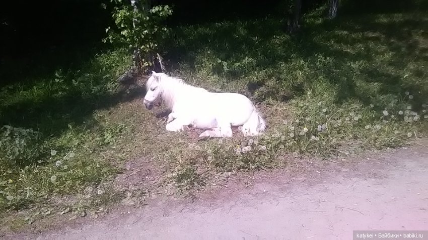 Что есть на конюшне — Интересные игрушки и фигурки (разное): редкие (фото 6)