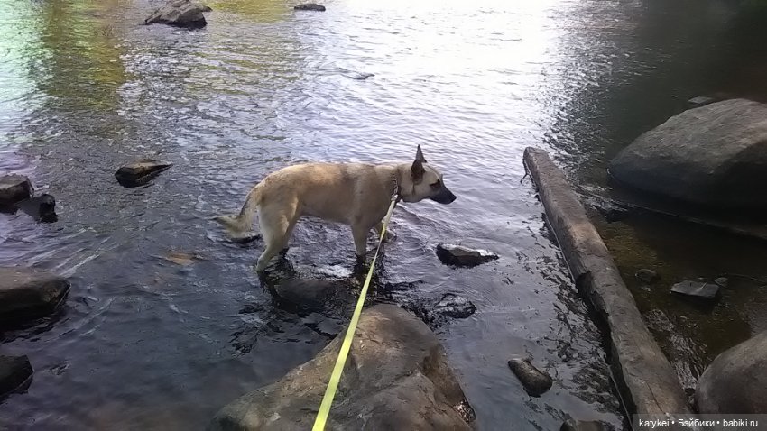 Что есть на конюшне — Интересные игрушки и фигурки (разное): редкие (фото 2)