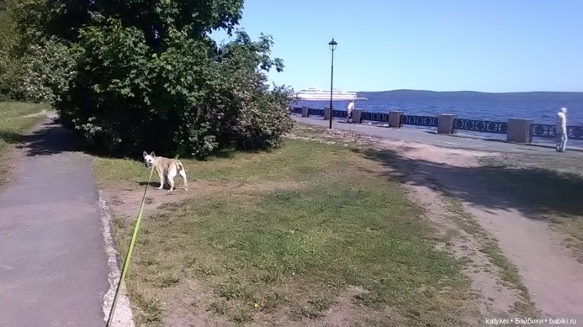 Что есть на конюшне — Интересные игрушки и фигурки (разное): редкие (фото 4)