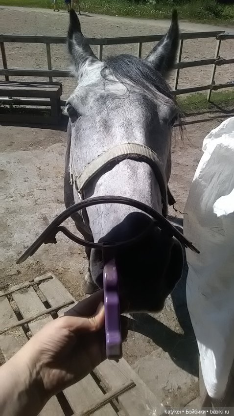 Что есть на конюшне — Интересные игрушки и фигурки (разное): редкие