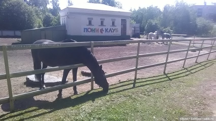 Что есть на конюшне — Интересные игрушки и фигурки (разное): редкие