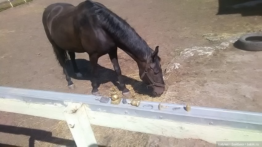 Что есть на конюшне — Интересные игрушки и фигурки (разное): редкие