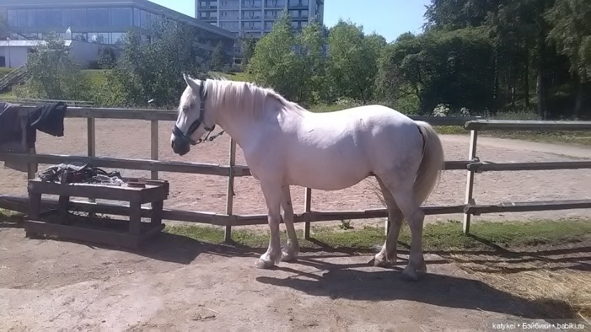 Что есть на конюшне — Интересные игрушки и фигурки (разное): редкие