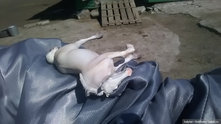 Что есть на конюшне — Интересные игрушки и фигурки (разное): редкие