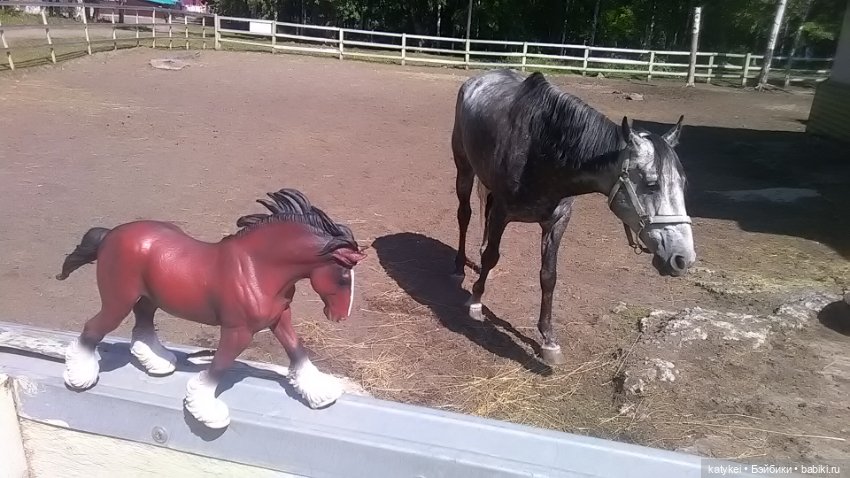 Что есть на конюшне — Интересные игрушки и фигурки (разное): редкие