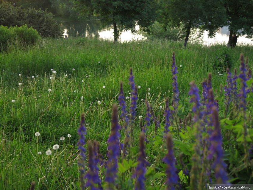 Куклы Kidz'n'Cats (Соня Хартман): шарнирные 46 см