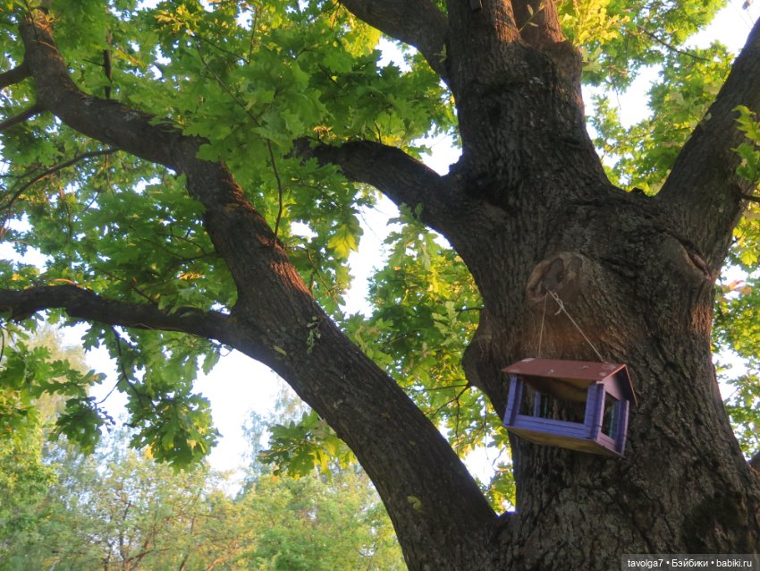 Куклы Kidz'n'Cats (Соня Хартман): шарнирные 46 см