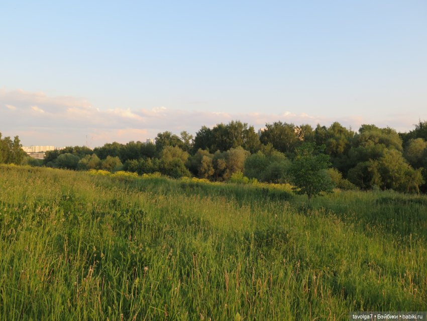 Куклы Kidz'n'Cats (Соня Хартман): шарнирные 46 см