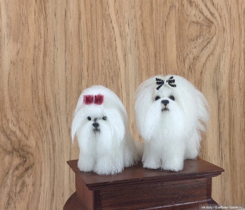 Мои миниатюрные собачки - Часть вторая (фото 9)