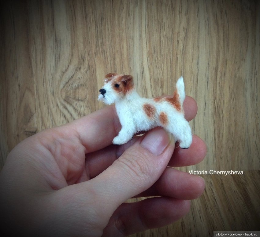 Мои миниатюрные собачки - Часть вторая (фото 5)