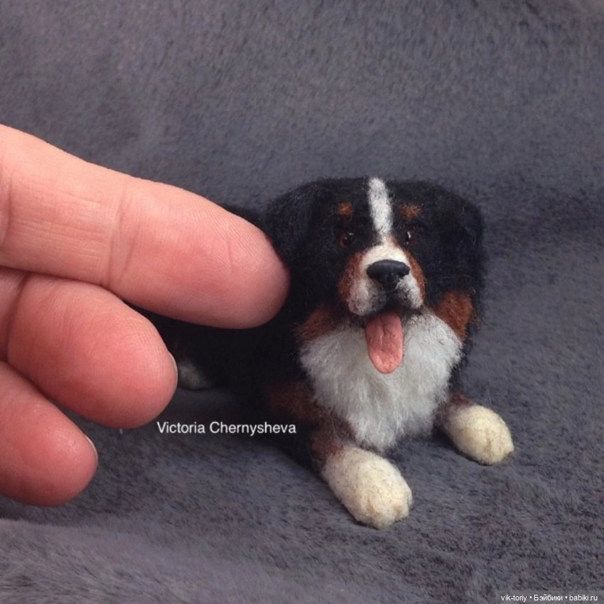 Мои миниатюрные собачки - Часть вторая (фото 3)