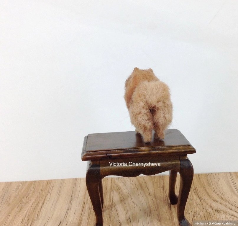 Мои миниатюрные собачки - Часть вторая (фото 7)