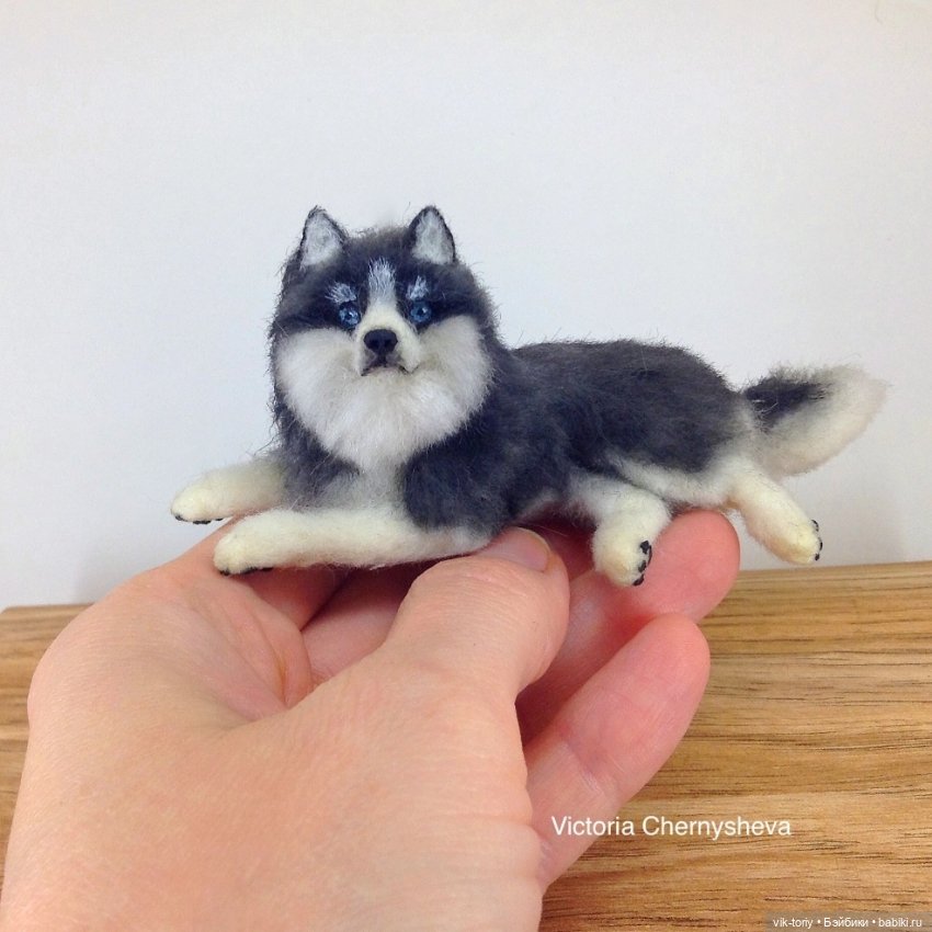 Мои миниатюрные собачки - Часть вторая