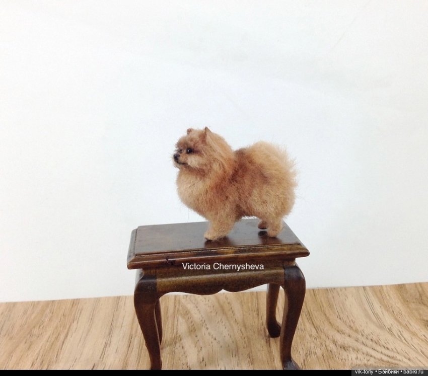 Мои миниатюрные собачки - Часть вторая (фото 8)