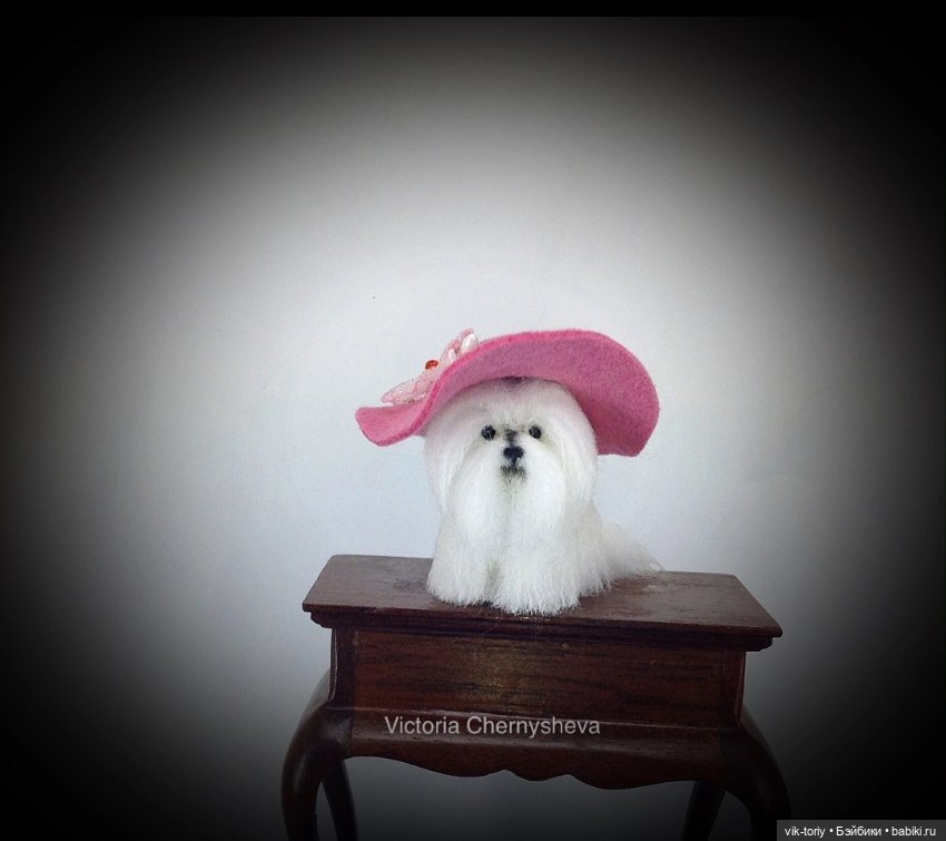 Мои миниатюрные собачки - Часть вторая (фото 10)