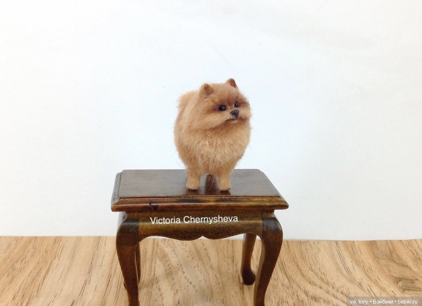 Мои миниатюрные собачки - Часть вторая (фото 6)