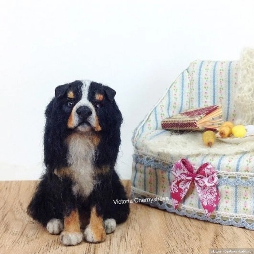 Мои миниатюрные собачки - Часть вторая (фото 2)