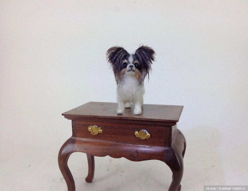 Мои миниатюрные собачки - Часть вторая