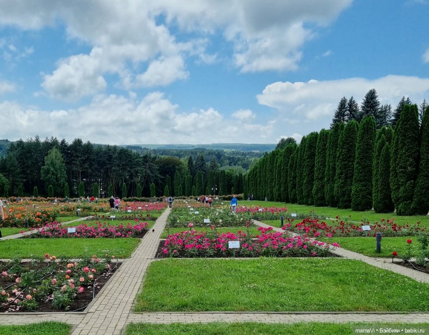 Розы. Солнце. Кисловодск — Туризм и путешествия: фотоотчеты из поездок (фото 5)