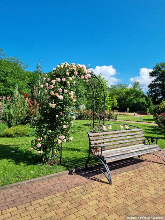 Розы. Солнце. Кисловодск — Туризм и путешествия: фотоотчеты из поездок