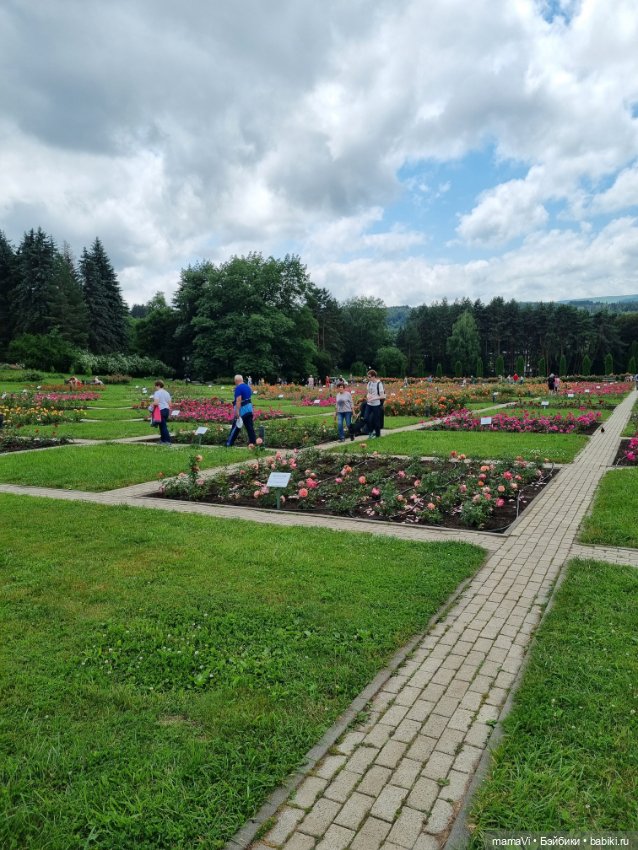 Розы. Солнце. Кисловодск — Туризм и путешествия: фотоотчеты из поездок (фото 3)