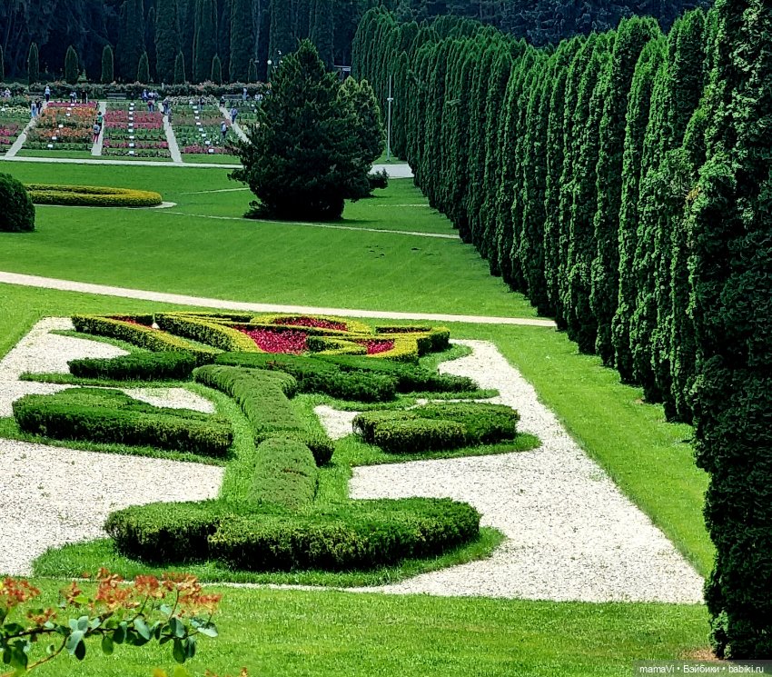 Розы. Солнце. Кисловодск — Туризм и путешествия: фотоотчеты из поездок (фото 2)