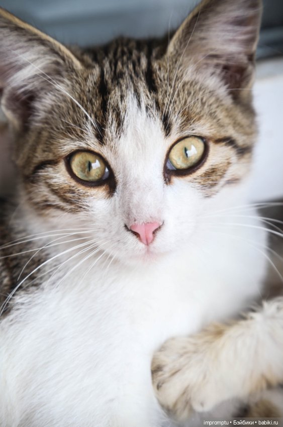 Цветы и куклы — Одежда и обувь для кукол своими руками: фото