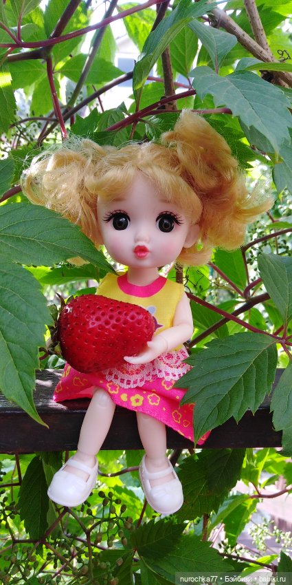 Лето бывает разным — Куклы Baboliy (Баболи