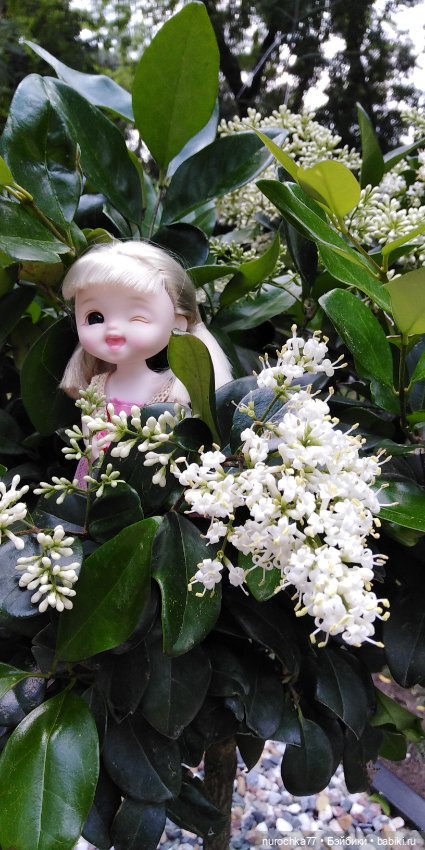 Лето бывает разным — Куклы Baboliy (Баболи