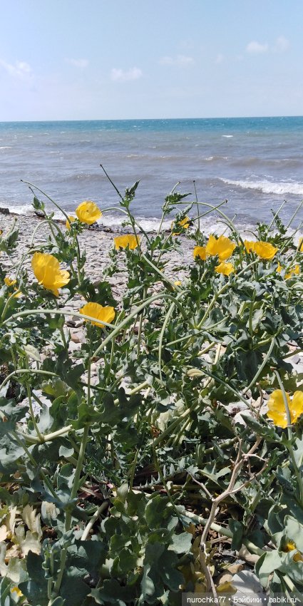 Лето бывает разным — Куклы Baboliy (Баболи (фото 7)
