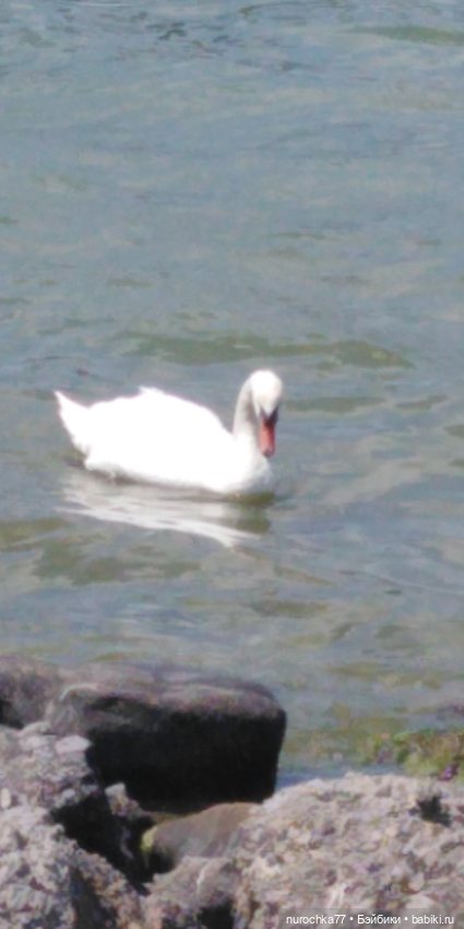 Лето бывает разным — Куклы Baboliy (Баболи