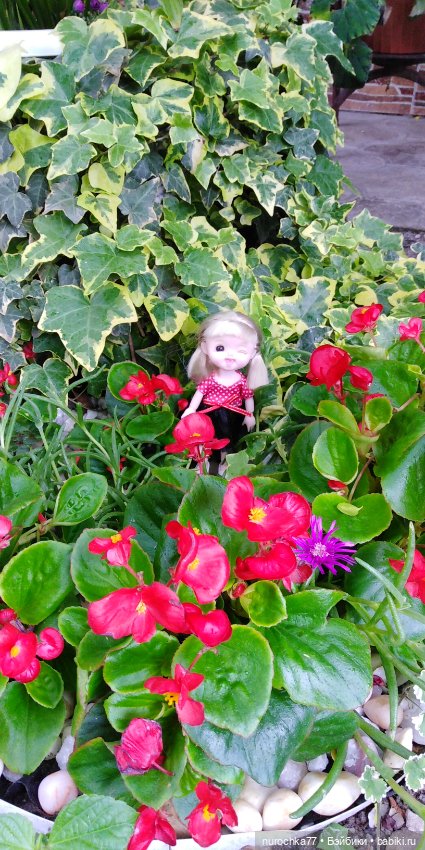 Лето бывает разным — Куклы Baboliy (Баболи